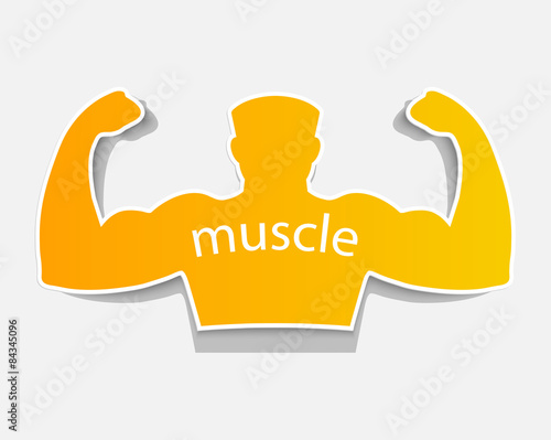 Gym label design and street workout sticker.