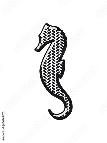 Seahorse pattern art