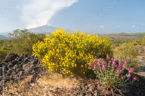 Etna landscapes