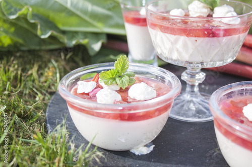 Rhubarb pannacottas
