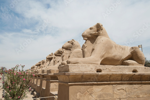 ancient egypt statues of sphinx in Luxor karnak temple