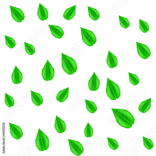 Wallpaper Mural Green Leaves Pattern Torontodigital.ca