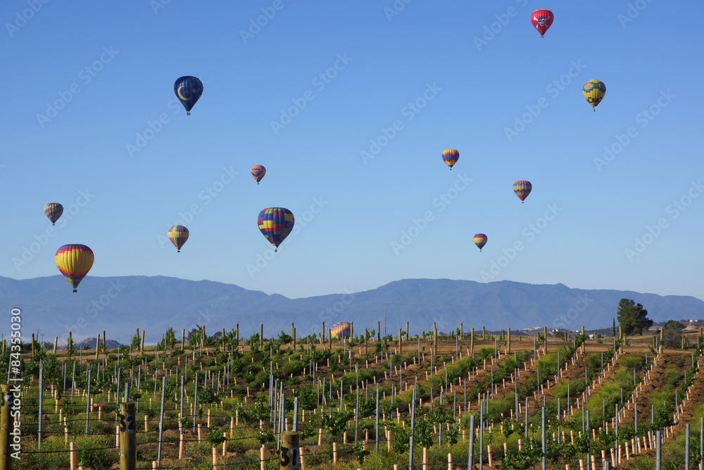 Obraz premium Balloon and Wine Festival in Temecula, California