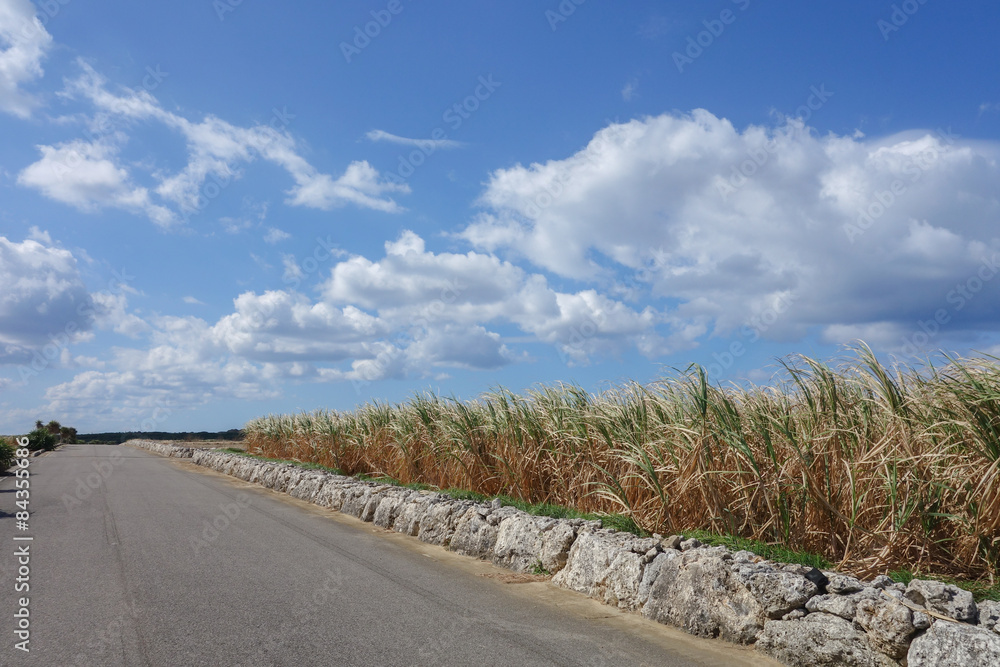 Fototapeta premium 沖縄県 波照間島の風景