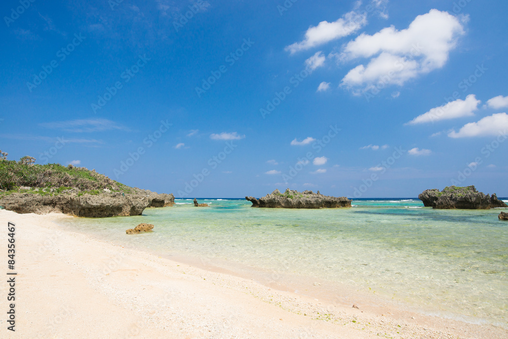 Fototapeta premium 沖縄の海