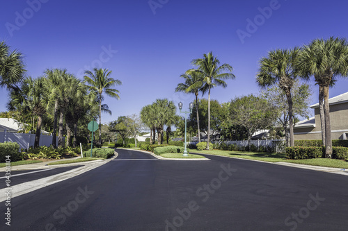 Gated community road in Florida