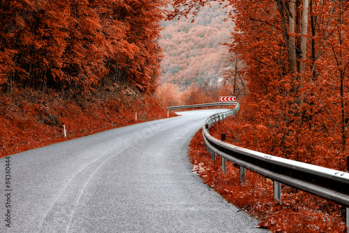 asphalt road through fall colors wood