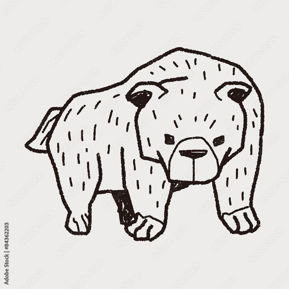 Obraz premium bear doodle