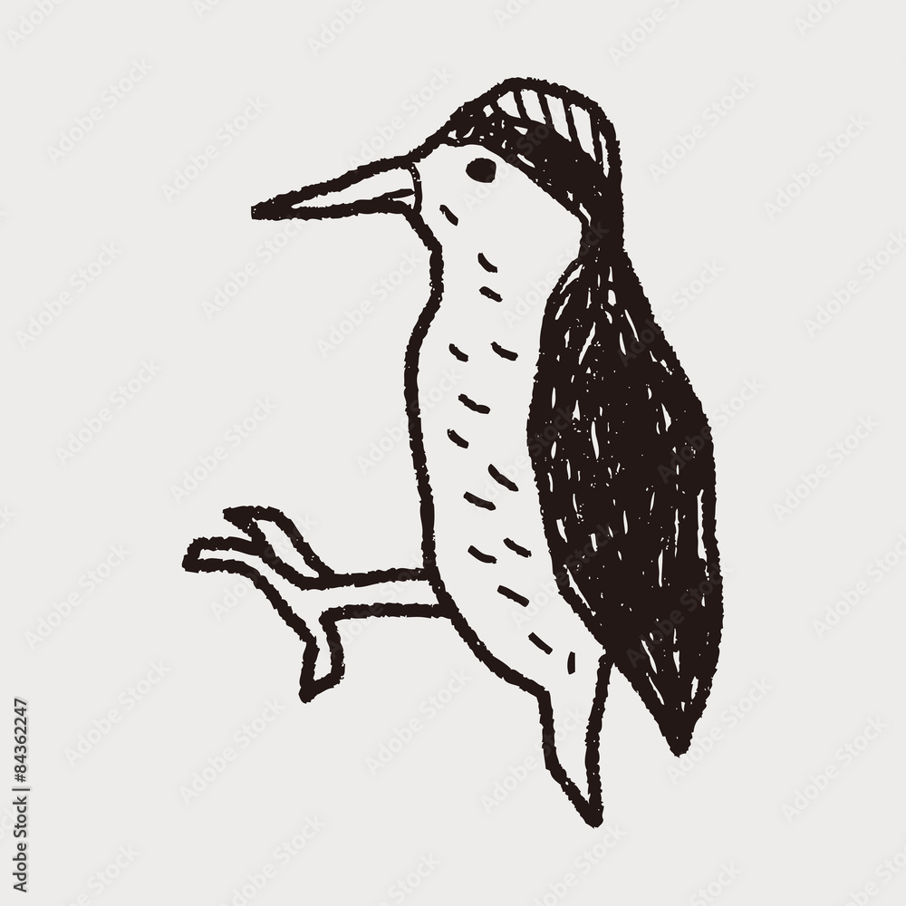 Fototapeta premium woodpecker doodle