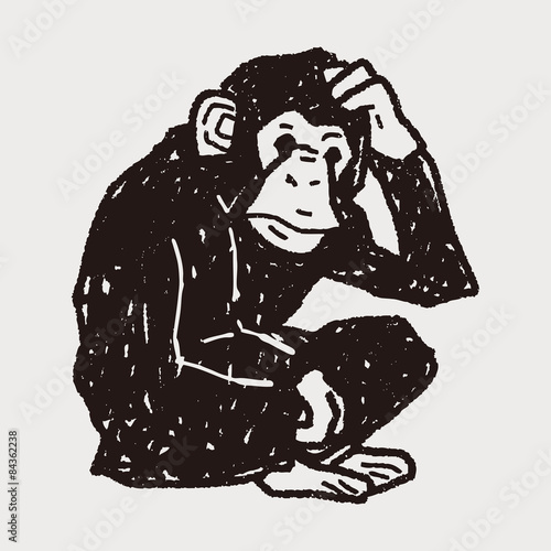 Photography orangutan monkey doodle