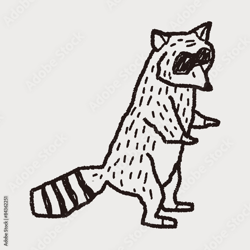 raccoon doodle