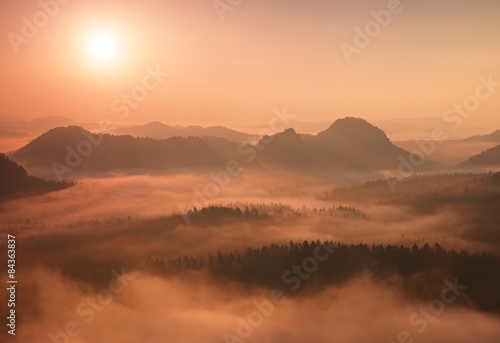 Fototapeta Naklejka Na Ścianę i Meble -  Marvelous daybreak. Misty daybreak in a beautiful hills