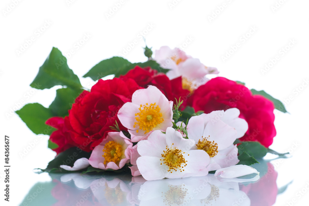 bouquet of beautiful wild roses