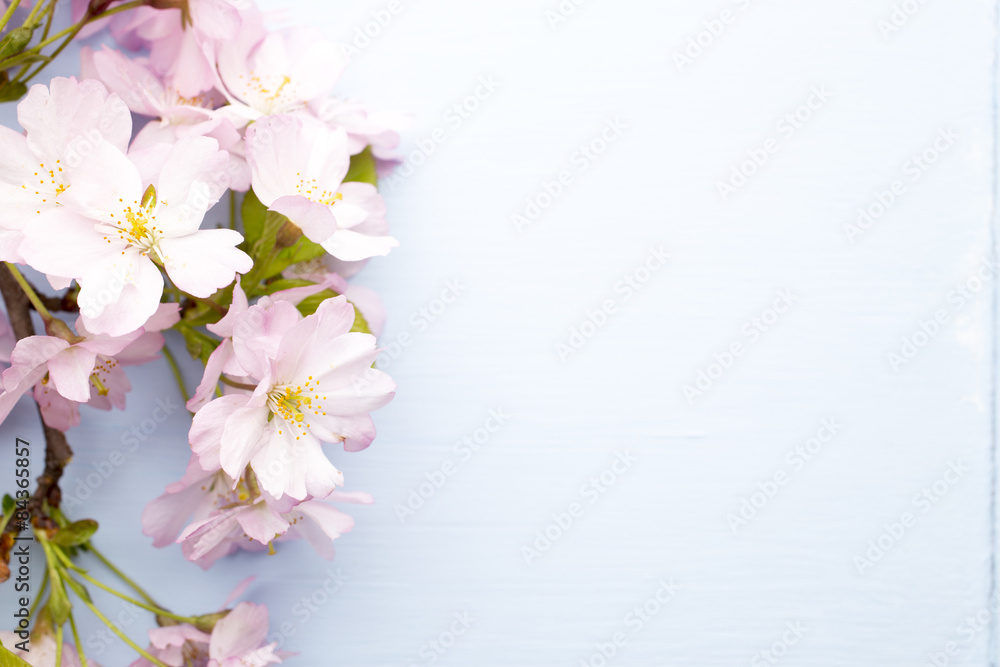 Tree cherry. Tree cherry.
