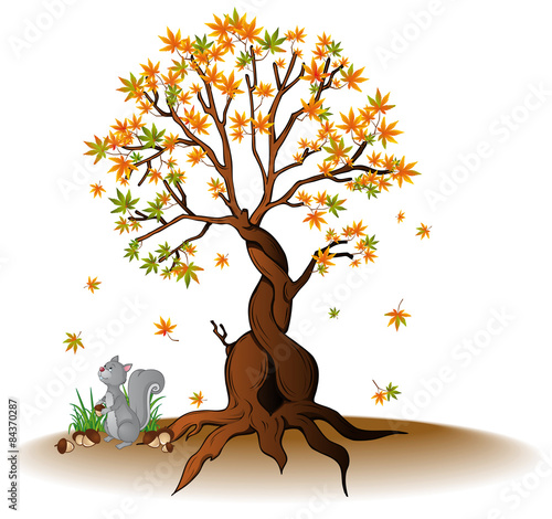 Eichhörnchen bereitet sich auf Winterschlaf vor 