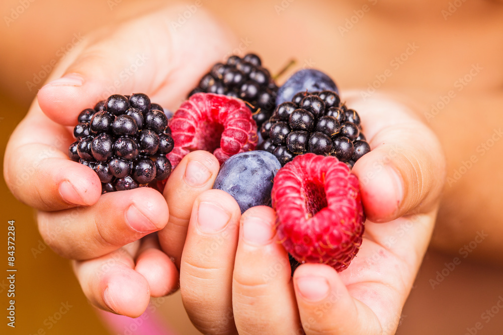Berries in hands Berries in hands