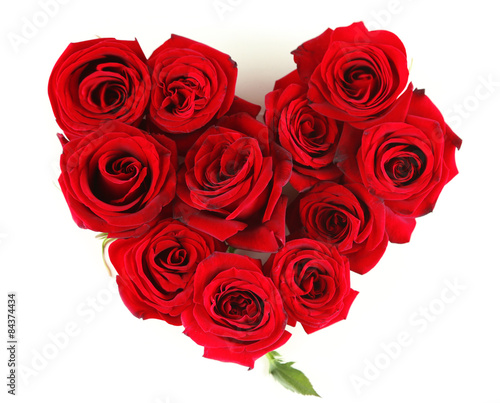 Beautiful red roses  isolated on white