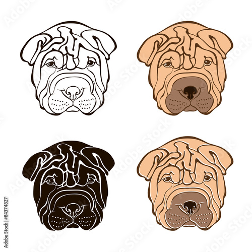 Sharpei face. Vector set. Hand-drawn vector illustration.