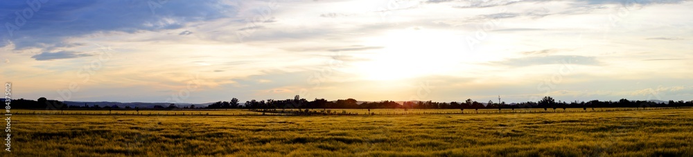 Rye Field and Sunset Rye Field and Sunset
