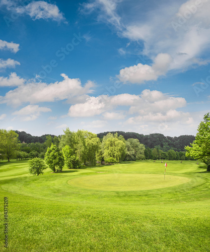 Golf course landscape. Field with green grass, trees, blue sky