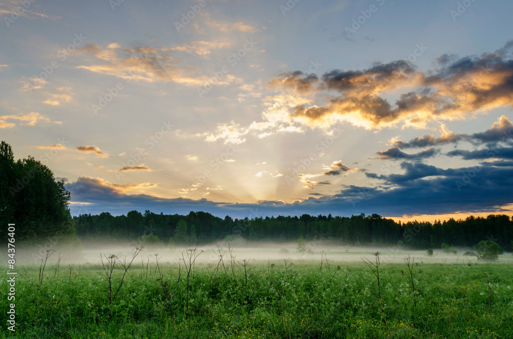 First rays over field and forest. Russian nature