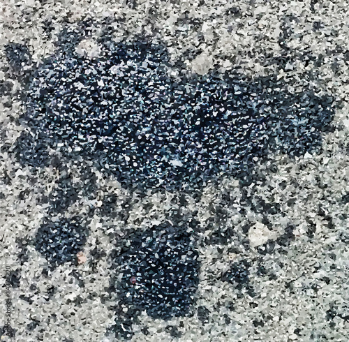  Oil slick on asphalt Vector Image 