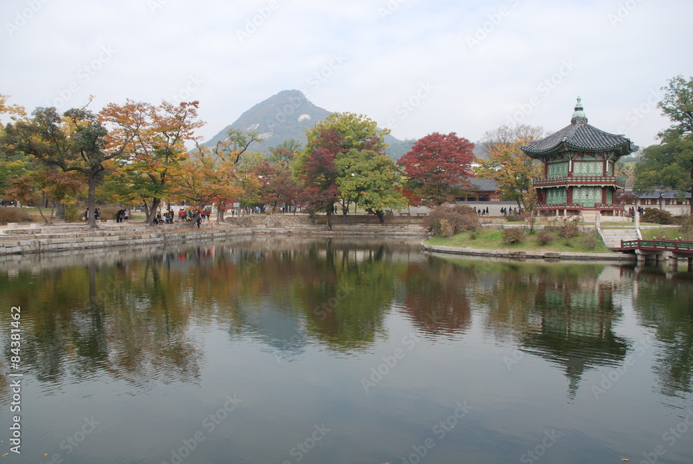 Obraz premium Парк