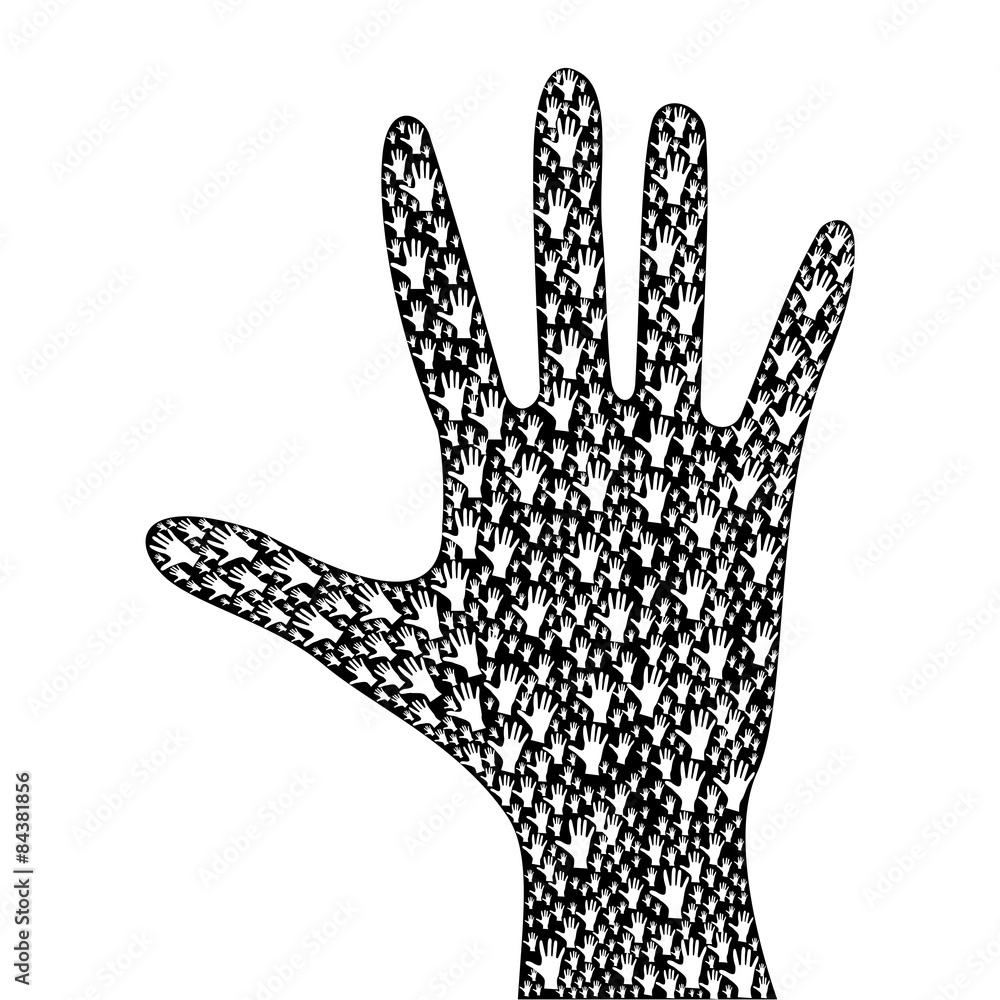 The Shape of the human hand The Shape of the human hand