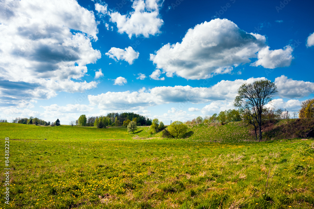 Obraz premium Countryside field and blue sky clouds