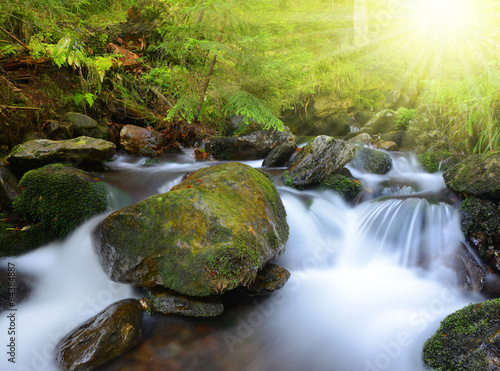 Mountain creek in the national park Sumava-Czech Republic