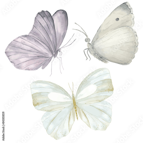 Watercolor butterflies set
