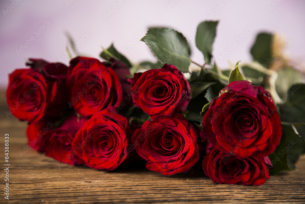 Day of love, Valentine's Day, roses and a teddy bear. Day of love, Valentine's Day, roses and a teddy bear.