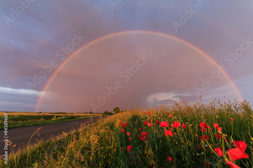 Rural scenery with poppies and evening storm colors