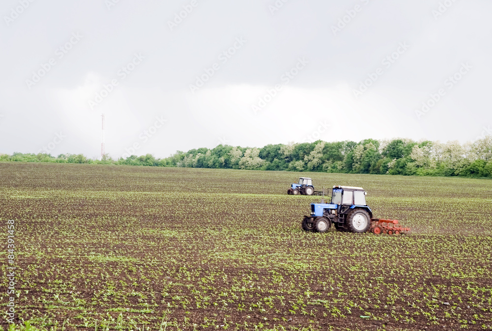 Fototapeta premium two tractors treated field
