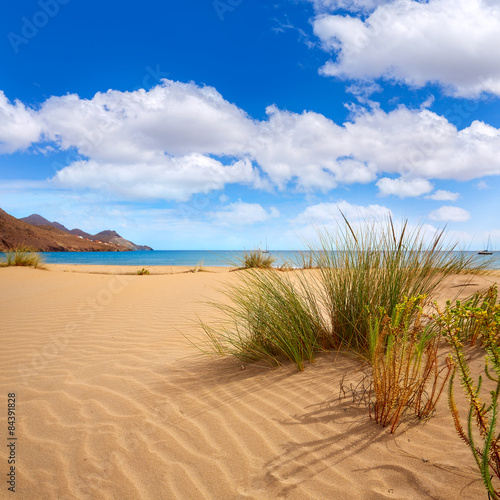 Fototapeta Naklejka Na Ścianę i Meble -  Almeria Playa Genoveses beach Cabo de Gata
