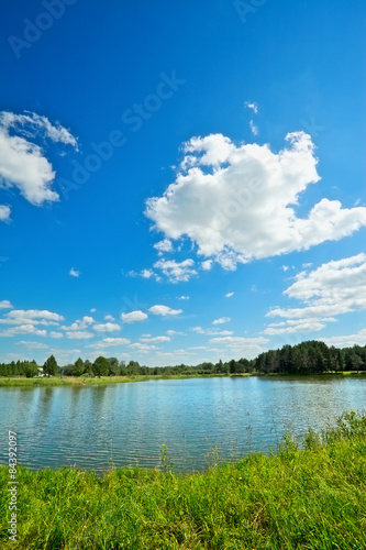 Summer Landscape