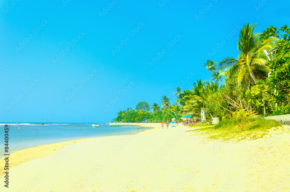 Obraz premium Exotic sandy beach with high palm trees