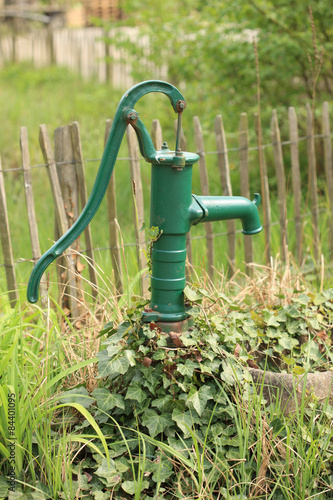 Fototapeta Naklejka Na Ścianę i Meble -  Pusterblume, Löwenzahn
