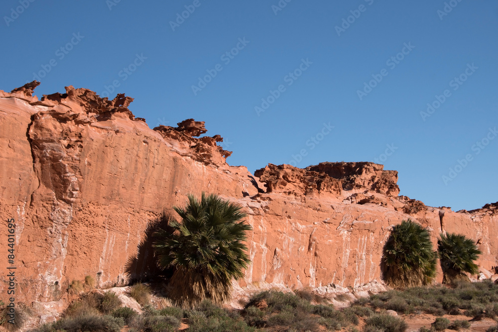 Fototapeta premium Little Finland, Nevada, USA