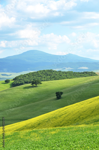 Typical Tuscan landscape near Pienza, Italy