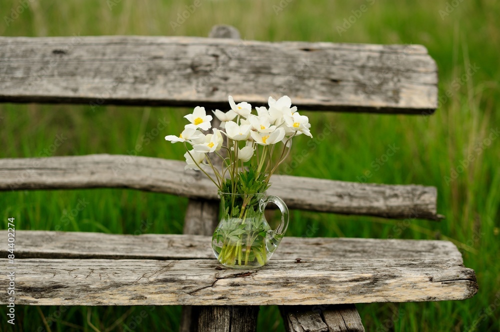 White anemones in glass jar on old wooden table