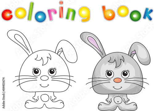 Funny and cute hare (rabbit)