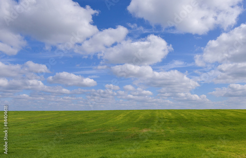 Summer landscape with wheat field and clouds