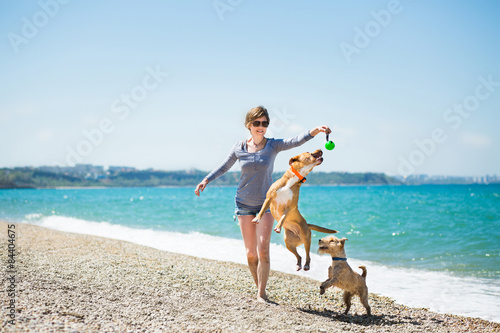 Canvas Print Beautiful girl in a blue blouse and shorts playing with dogs on the beach