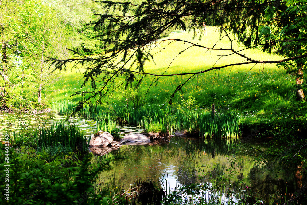 See in den Bergen See in den Bergen