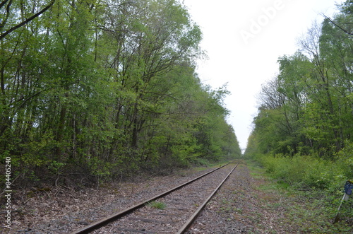 Old railroad track through a forest