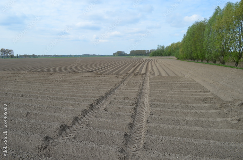 field ploughed with ledges for planting potatoes