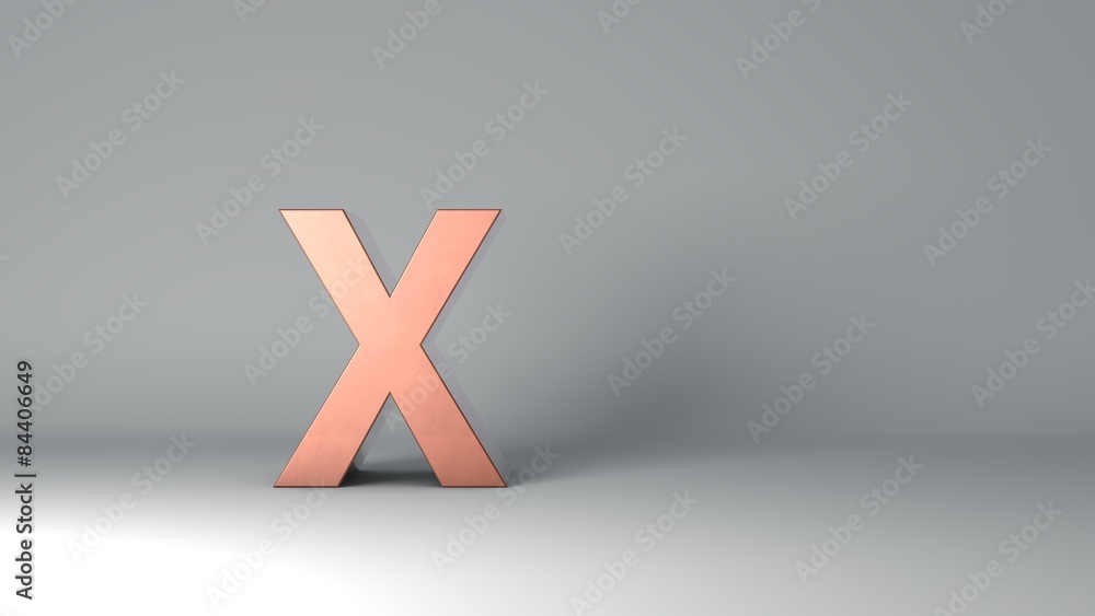 Obraz premium X