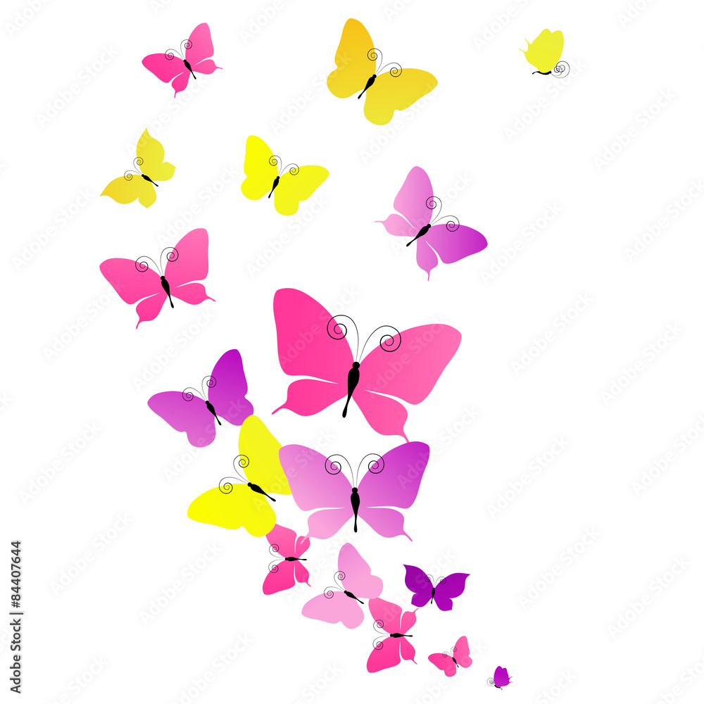 Naklejka premium butterflies design