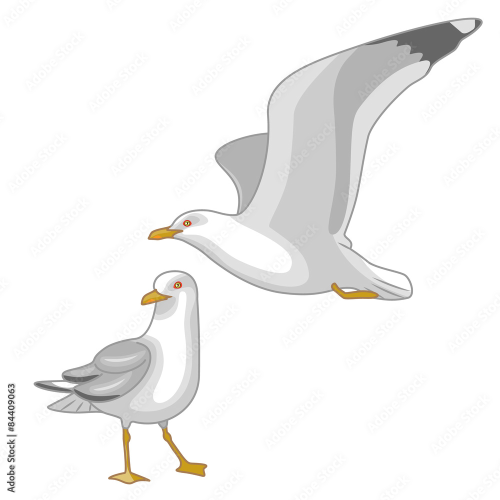 Naklejka premium Flying and Walking Seagulls